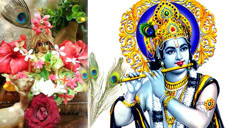 Krishna Jayanti