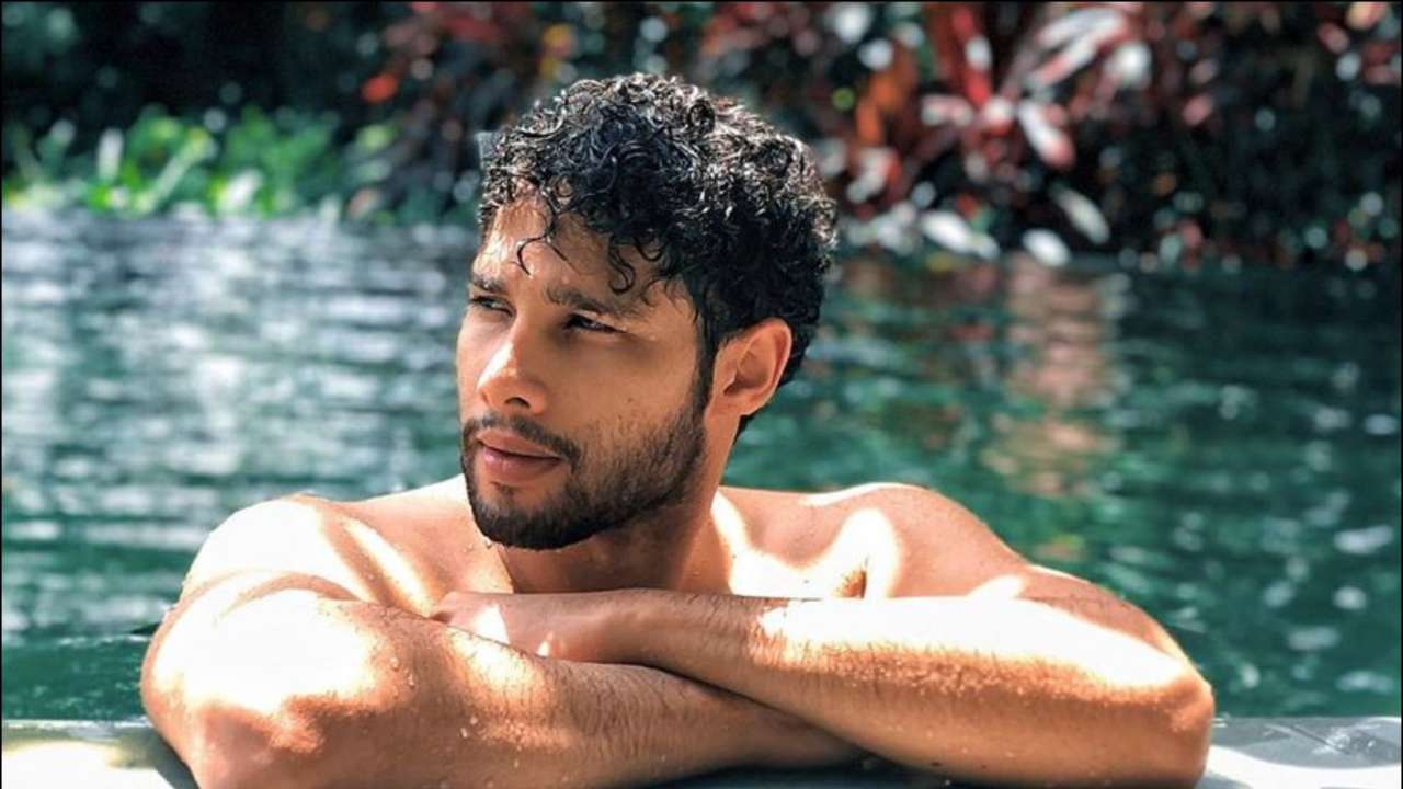 Photo ofSiddhant Chaturvedi