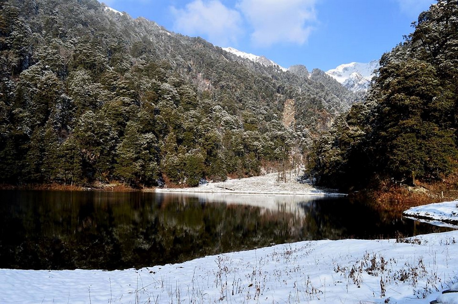 dodital in winter snow
